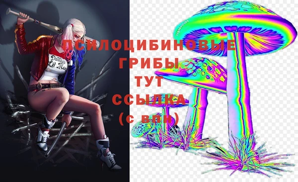 ГАЛЛЮЦИНОГЕННЫЕ ГРИБЫ Киренск