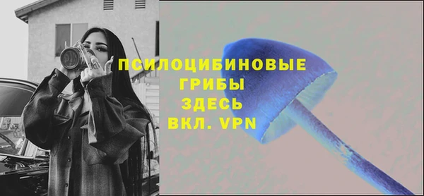 прущая мука Кинешма