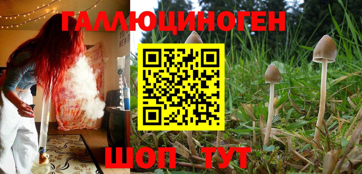 Курганинск  Галлюциногенные грибы GOLDEN TEACHER  Вход с VPN 
