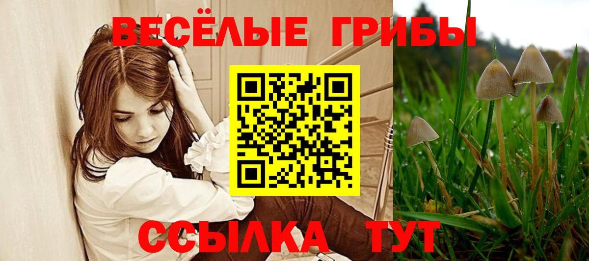 Псилоцибиновые грибы прущие грибы Курганинск